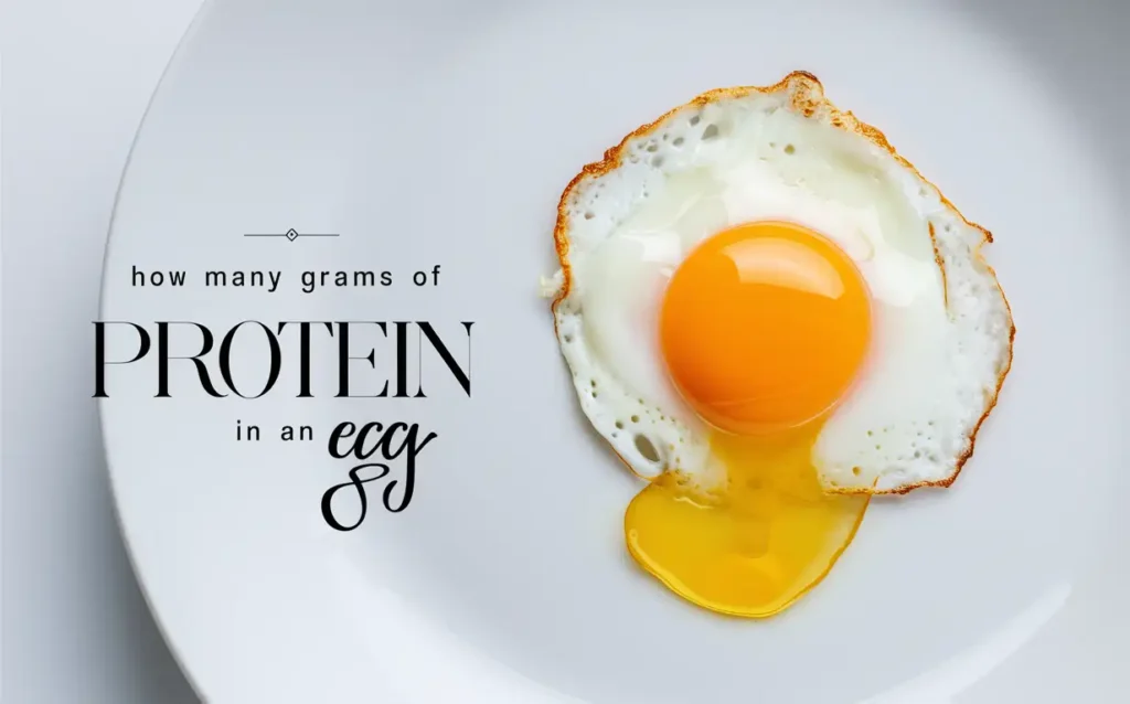 How Many Grams of Protein in an Egg